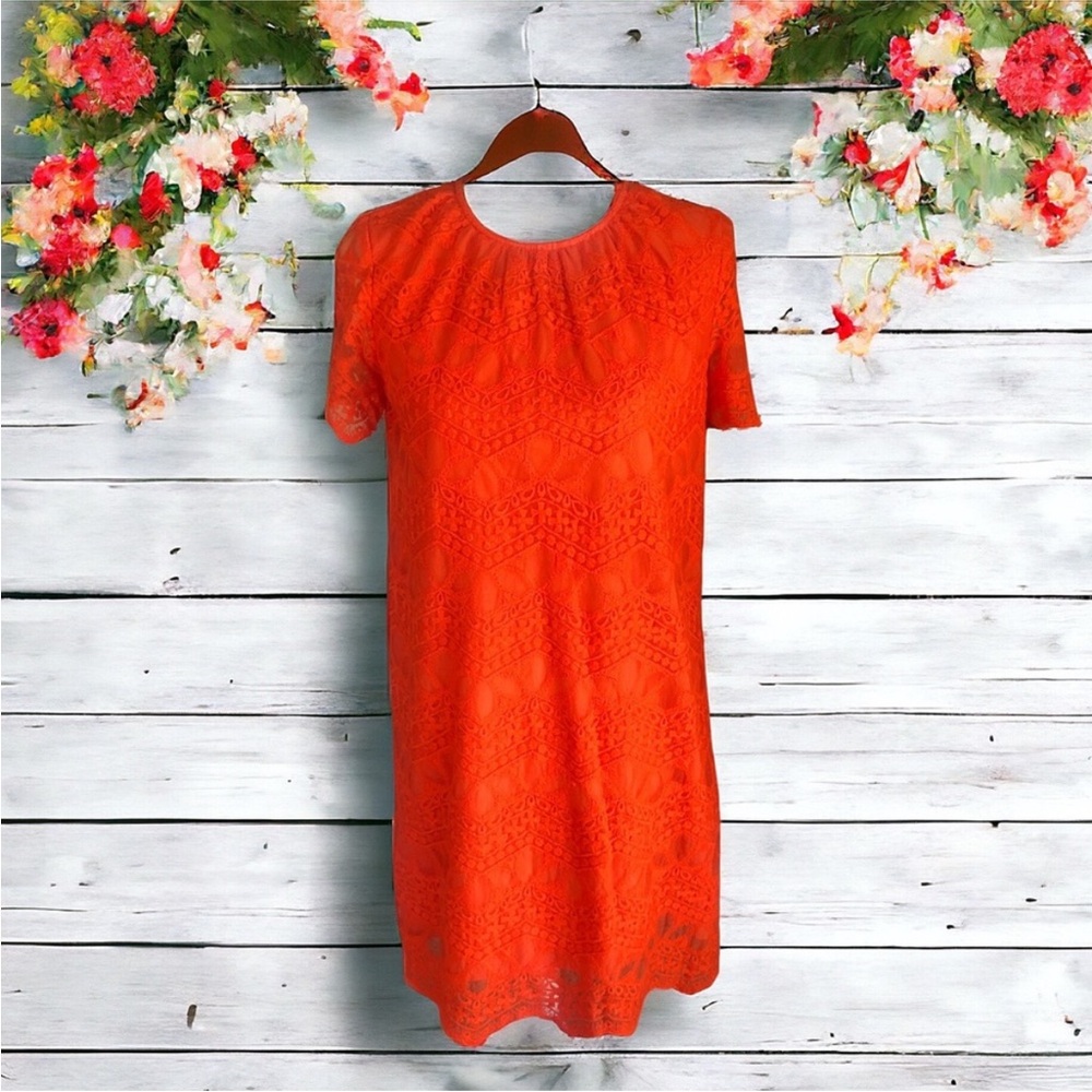Zara Basic Collection 70’s Style Vibrant Orange Lace Dress